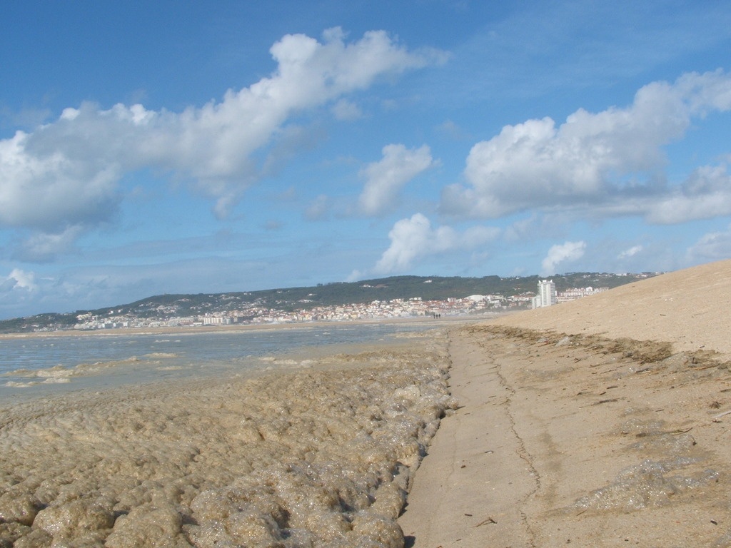 2011-10 Portugal/Figueira da Foz/DSCF6047.JPG